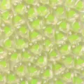 Cuentas de corazón transparentes de acrílico, cuentas dobles verde neón para collar de joyería DIY - Verde Hierba / Paquete de 10 Piezas