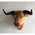 Close-up detail of European style faux taxidermy bull head wall decor with sleek black horns. - Bull Head Wall Hanging