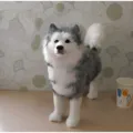 Προσομοίωση husky λούτρινο παιχνίδι σκύλος χαριτωμένο ρεαλιστικό ζωάκι διακόσμηση σπιτιού - Όρθια Στάση