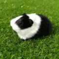 Simulazione porcellino d'India peluche animale carino modello decorazione interni auto soffice - Stile 7
