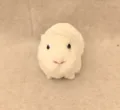 Simpatico modello di porcellino d'India in peluche, realistico soprammobile bianco per auto. - Stile 1