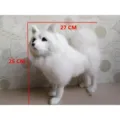 Προσομοίωση Samoyed λευκό χνουδωτό σκυλί λούτρινο παιχνίδι διακόσμηση γραφείου 27cm - Μεγάλο Σαμογιέντ