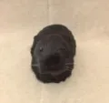 Simulazione porcellino d india peluche nero animale modello decorazione interna auto - Stile 8