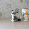 Jouet en peluche de renard gris simule animal en peluche mignon decoration de maison cadeau. - Renard Bleu