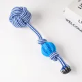Haltbares Baumwollseil Hundekaupielzeug mit blauem Kautschukball für interaktives Haustierspiel. - Wassermelonen-Seilballstil (28cm 145g)