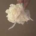 Gros plan détaillé de la pince à cheveux élégante en filet floral avec plumes, texture fine. - Beige