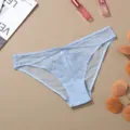 Detailed view of light blue lace panties with delicate floral embroidery and cross straps. - S / Blue