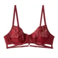 Wine red sheer lace embroidered push-up bra, elegant floral mesh underwire lingerie. - 70B/32B / Tops / Burgundy