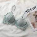 Mint green French lace push-up bra, sexy thin cup lingerie with delicate floral embroidery. - 80B/36B / Green