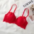 Sexy red lace French bra for women, thin push up anti sagging undergarment, comfortable. - 80B/36B / Red