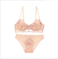 Vista detallada del delicado bordado de hojas y anillos en lencería rosa sexy. - 70B/32B / Parte Superior e Inferior / Champán