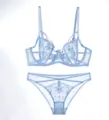 Light blue French embroidered lingerie set featuring sheer mesh bra and matching panty. - 70B / Top And Bottom / Blue