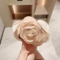 Elegante Rosen Abendtasche für Damen, romantisches Blumen Design für Hochzeit und Party. - Aprikose
