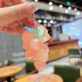 Lindo llavero de uva de acrílico rosa colgante de bolso accesorio de llave de auto - Hoja Verde Rosa Cadena de Corazón Iridiscente
