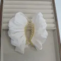 Détail en gros plan de la pince à cheveux enveloppée de mousseline blanche dans le plateau. - Blanc