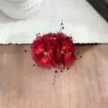 Burgundy fabric flower hair claw clip with bead tassels for elegant women updos. - Hydrangea Beaded Double Flower Hair Claw(A490) / Red