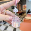 Hars roze varken sleutelhanger schattige cartoon tas bedel telefoonketting leuk kado - Lezend Boek Varken
