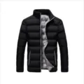 Herren Winter Schwarze Gesteppte Jacke Stehkragen Warmer Daunenmantel Variante Stil - M / Oberteile / Schwarz und Grau