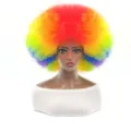 Detailed view of the colorful rainbow afro wig, fluffy synthetic costume party hair. - Rainbow