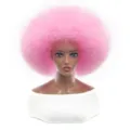 Pink fluffy afro wig for party costume. Short synthetic hair costume wig for adults. - Pink