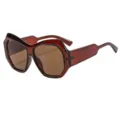 Gafas de Sol Cat-Eye Irregulares con Lentes Marrones Moda Mujer Callejera 5721 - C6 Montura Té Lentes Té