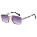 Lunettes de soleil mode métal homme double pont rétro cyclisme en plein air T22141 - C7 Monture Argentée Verres Gris Dégradé