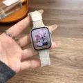 Gedetailleerde close-up van gevlochten nylon Apple Watch-bandje met veilige magnetische sluiting. - 38/40/41/Gen 10-11 42MM Universeel / Ster