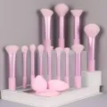 12-piece pink makeup brush set with beauty sponges, professional foundation and powder brushes. - Pink