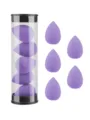 Purple makeup sponge blender set with clear storage container for smooth foundation application. - 5 Pieces Jar Dark Purple