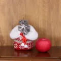 Weihnachtliche Strick Apfel Tasche mit Plüschrand und Kordelzug für festliche Geschenke. - Grau