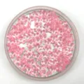 Pink translucent plastic tri-horn loose beads for DIY jewelry making and craft projects. - 11*4mm / Pink