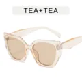 Trendy cat eye polygon sunglasses with translucent frame for fashion street style and daily wear. - Clear Tea Frame Tea Lens