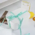 Primo piano di un elegante nastro regalo verde con testo in corsivo per decorazioni fai da te. - Verde chiaro