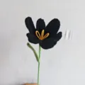 Handgemaakte gebreide zwarte tulp bloem detail, gehaakte wol decoratie voor kado. - Zwart