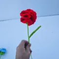 Oranjerood