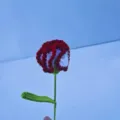 Handgemachte gehäkelte Nelke Blume Geschenk für Muttertag Frauen Feiertag Dekoration. - Verlauf Rot
