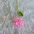 Handgemachte gehäkelte rosa Rose Detail, Wollblumenstrauß für Dekoration und Geschenke. - Rosa