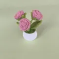 Handgemaakte gehaakte roze rozen potplant, garen breidetails voor kantoordecoratie. - Vleesroze