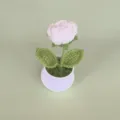 Handgemaakte gehaakte witte roos potplant detail met prachtige wol textuur en fijne afwerking. - Wit