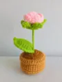 Handmade crochet pink rose flower pot detail view, cute yarn plant decor for desktop display. - Pink