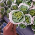 Handmade crochet rose flower knitted bouquet artificial flowers for Valentine day gift - Gradient Green