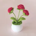 Detailansicht der handgehäkelten roten Rosen im Topf, feine Wollgarn Handwerkskunst Heimdekoration. - Weißer Blumentopf Mehrköpfige Rote Rose