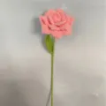 Scherpe Hoek Roze Roos