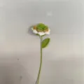 Handgemaakte gehaakte rozenbloem enkele stengel gebreide wol bloemenboeket voor valentijn. - Verloop Groen