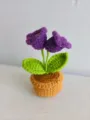 Handgemaakt gehaakt paars bloem potplant detail, schattig wol gebreid home decor. - Paars
