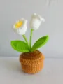Handgemaakte gehaakte dubbele bloem potplant wollen lelie huisdecoratie detailweergave - Wit