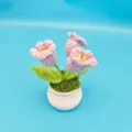 Handgemaakte gehaakte potplant gebreide bloem huisdecoratie bureautoepassing schattig - Lichtpaars