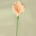 Fleur de calla au crochet fait main, branche florale artificielle rose pour la déco maison. - Chair