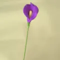 Handgemaakte paarse calla lelie gehaakte bloem, kunstmatige gebreide bloem voor thuis. - Paars