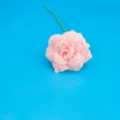 Handmade crochet pink rose flower knitted yarn floral decor for home interior and gift - Nude Pink